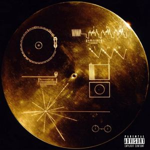 成年网站在线观看
